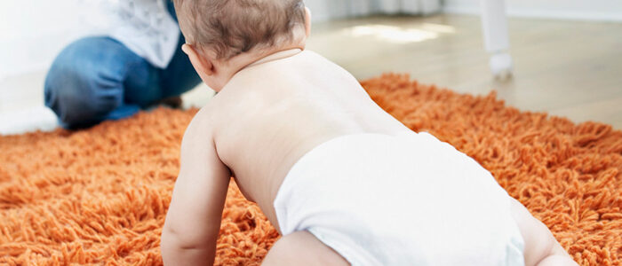 Sarasota Carpet Cleaning - Residential