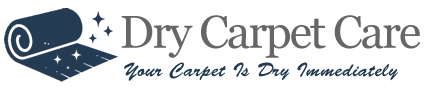 Sarasota Dry Carpet Cleaning